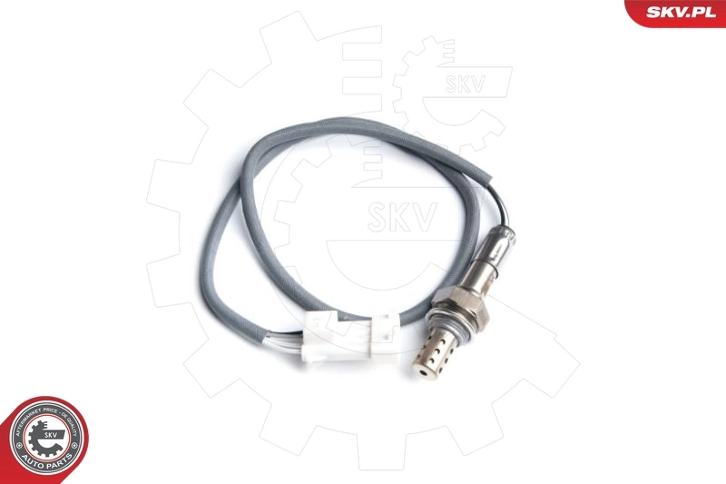 Oxygen Sensor
